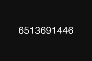 6513691446