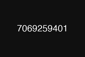 7069259401