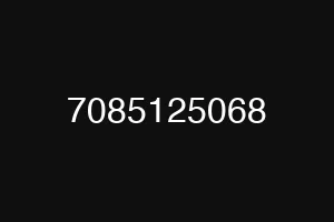 7085125068