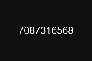 7087316568