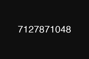7127871048