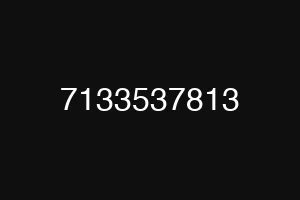 7133537813