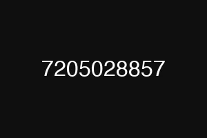 7205028857