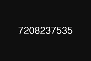 7208237535