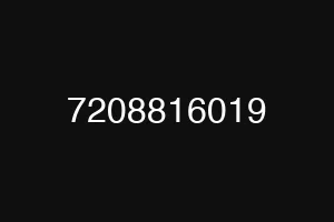 7208816019