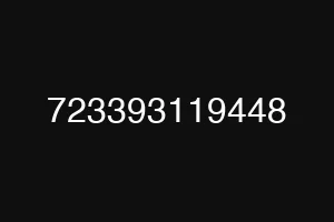 723393119448