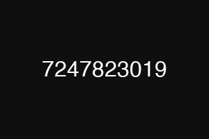 7247823019