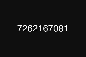 7262167081