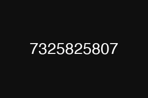 7325825807
