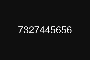 7327445656