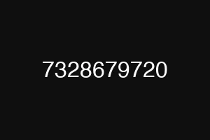 7328679720
