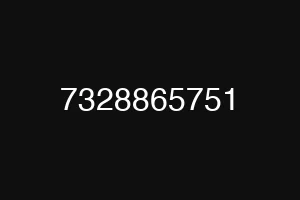 7328865751