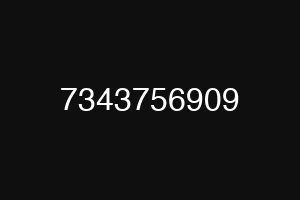 7343756909