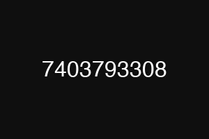 7403793308